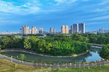 尤物麻豆av在线-「尤物麻豆」，探索网络文化的迷思与现实