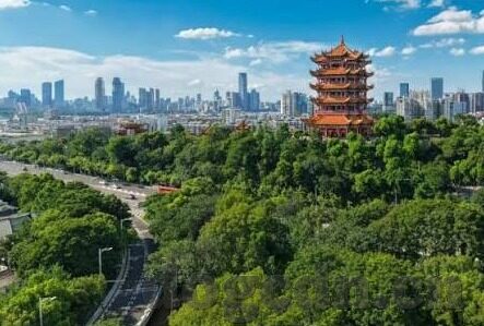 中文字幕久草久热在线-中文字幕下的情感与欲望交织——久草久热在线的多元解读